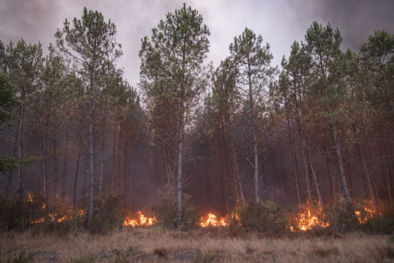 France, Bordeaux, 2026-07-26. Firefighters battle a forest fire in the pine woods of the Gironde on 26 July 2026, with g