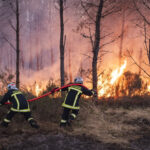 France, Bordeaux, 2026-07-26. Firefighters battle a forest fire in the pine woods of the Gironde on 26 July 2026, with g