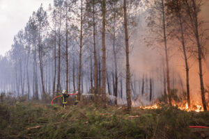 France, Bordeaux, 2026-07-26. Firefighters battle a forest fire in the pine woods of the Gironde on 26 July 2026, with g