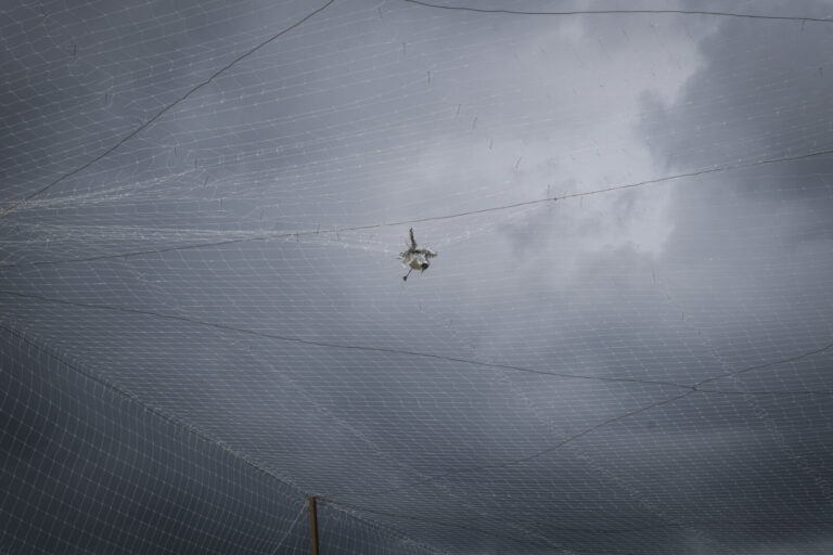 Ukraine, Pavlograd, 2026-04-24. Kilometres of netting strung on poles turn the supply roads of the Ukrainian rear into c